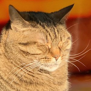 Meet your Posher, Rhonda